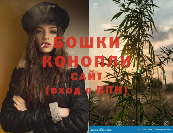 индика Куйбышев